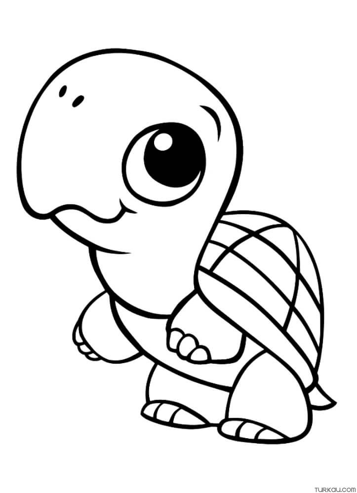 joyful turtle coloring pages printable jpg