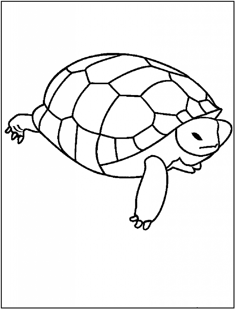 14+ Colorful Turtle Coloring Pages Printable