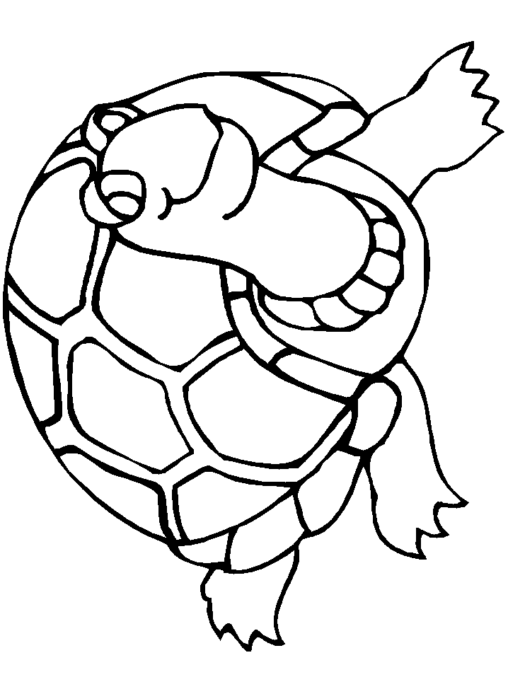 16+ Educational Turtle Coloring Pages Printable