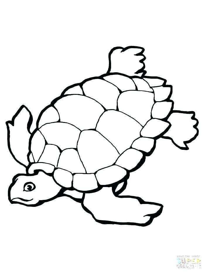 16+ Whimsical Turtle Coloring Pages Printable