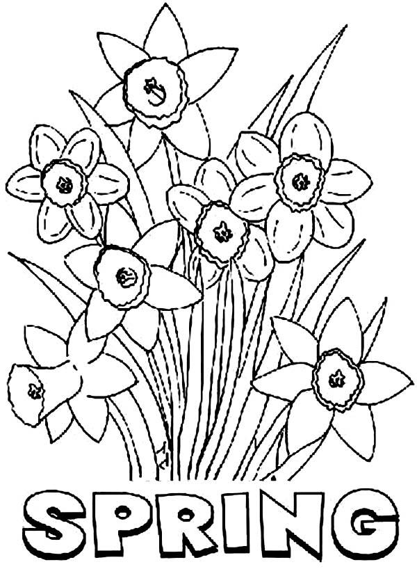 32+ Funtastic Spring Coloring Pages Easy