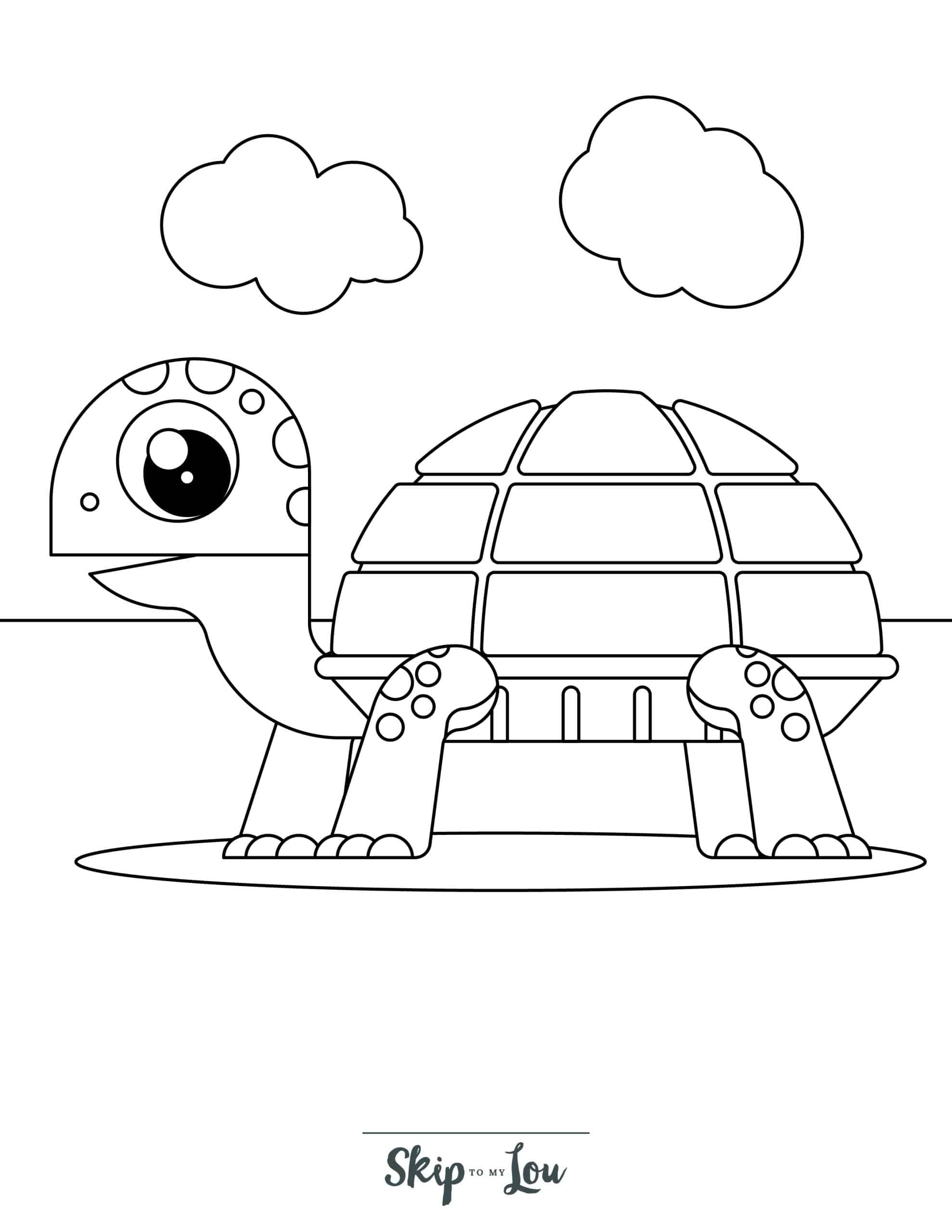 educational turtle coloring pages printable jpg