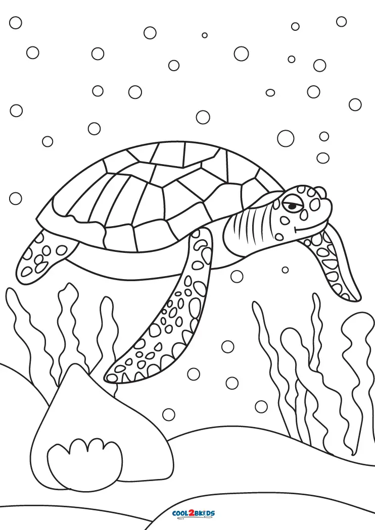 cheerful turtle coloring pages printable jpg