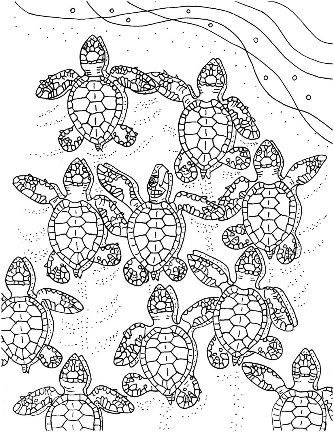 28+ Relaxing Turtle Coloring Pages Printable