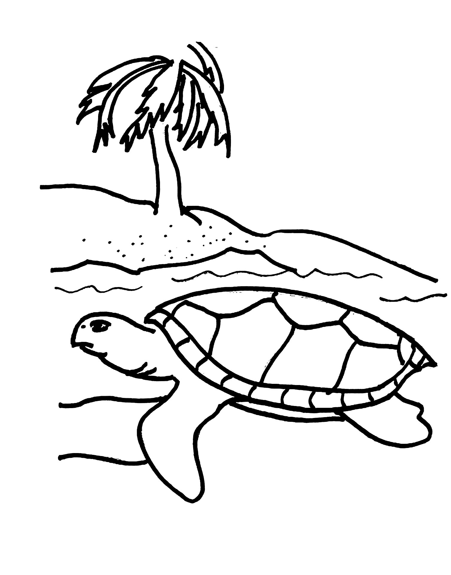 36+ Lovely Turtle Coloring Pages Printable