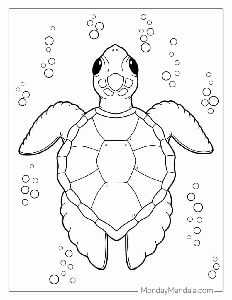 36+ Simple Turtle Coloring Pages Printable