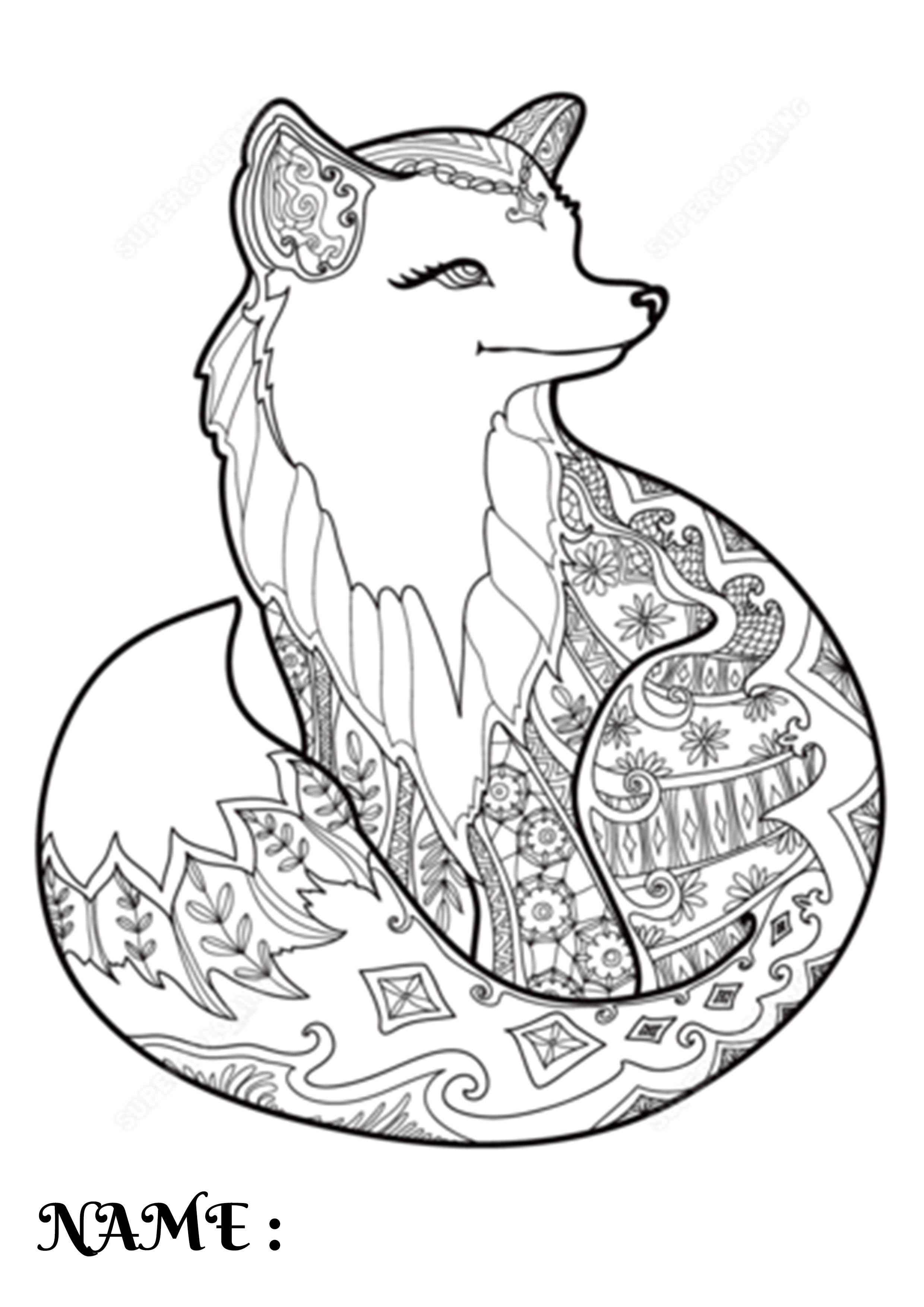 49+ Funtastic Fox Coloring Pages Simple