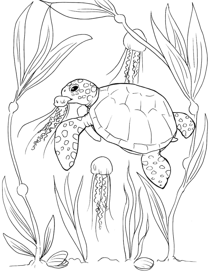 54+ Cute Turtle Coloring Pages Printable