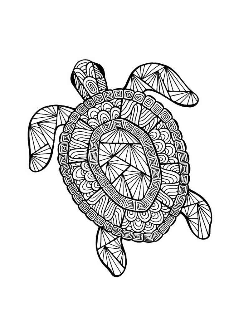 artistic turtle coloring pages printable jpg