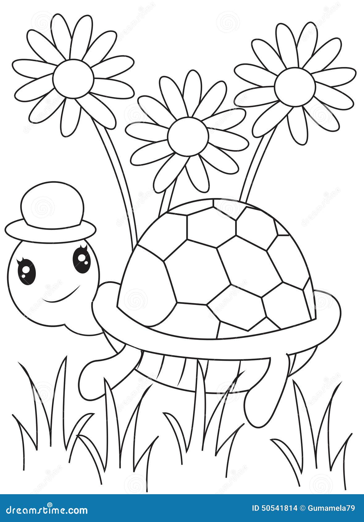 63+ Educational Turtle Coloring Pages Printable