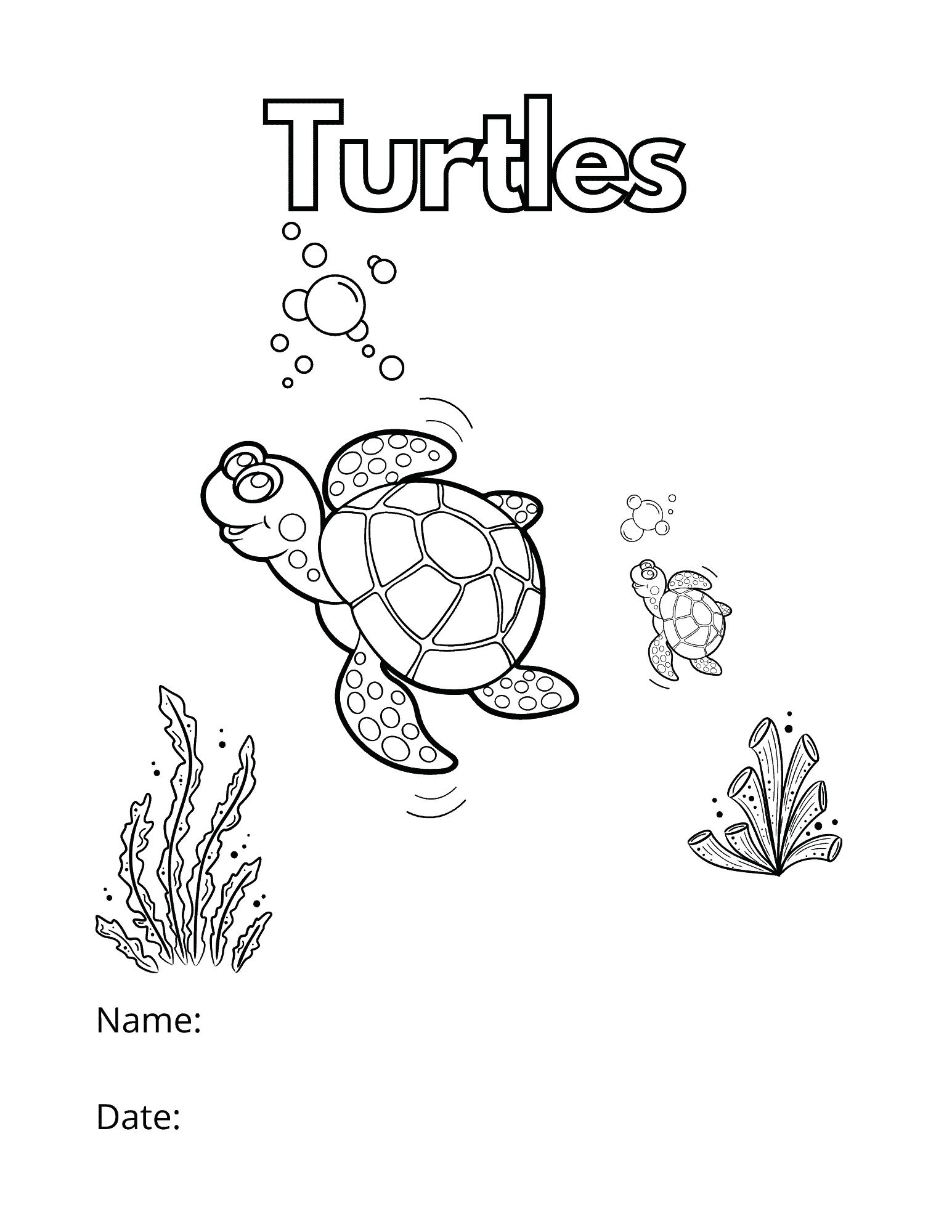 top turtle coloring pages printable jpg