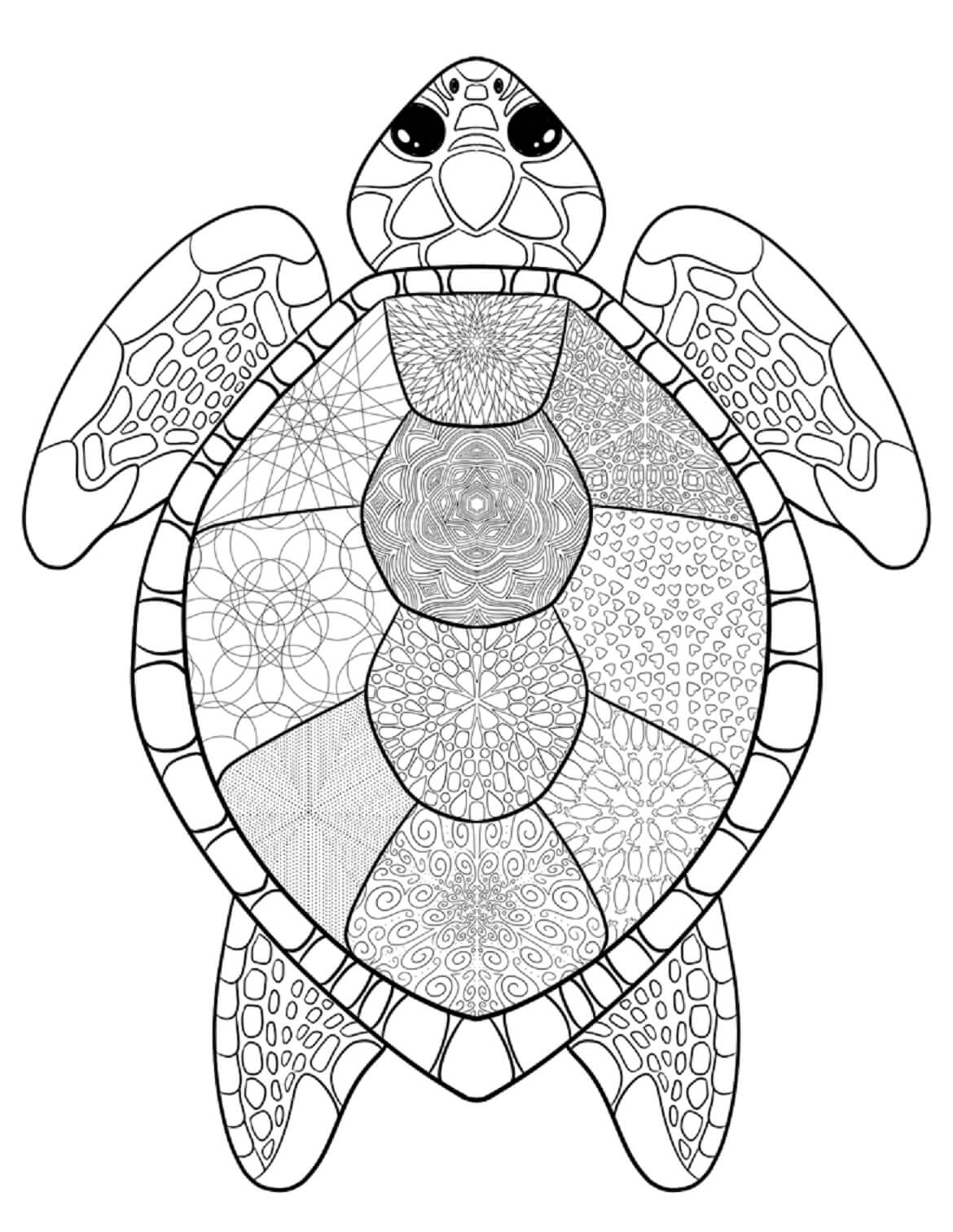 67+ Colorful Turtle Coloring Pages Printable