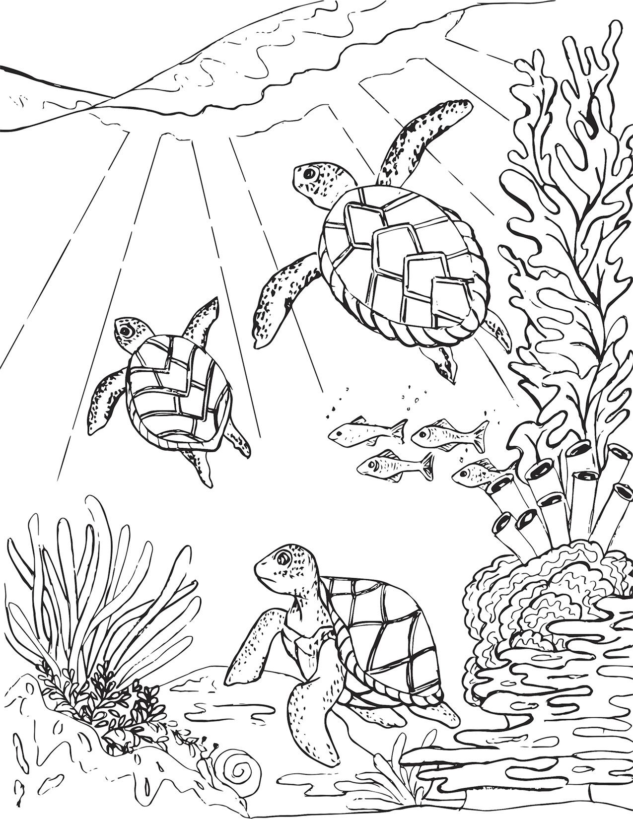 72+ Interactive Turtle Coloring Pages Printable