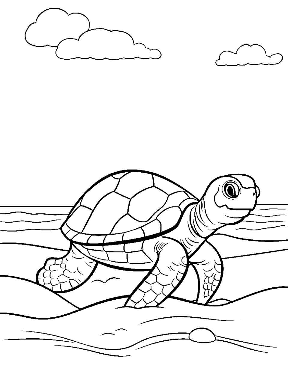 76+ Cheerful Turtle Coloring Pages Printable