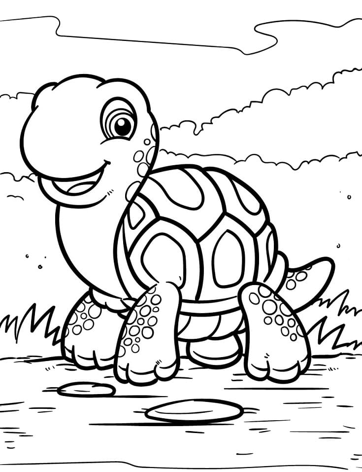 educational turtle coloring pages printable jpg