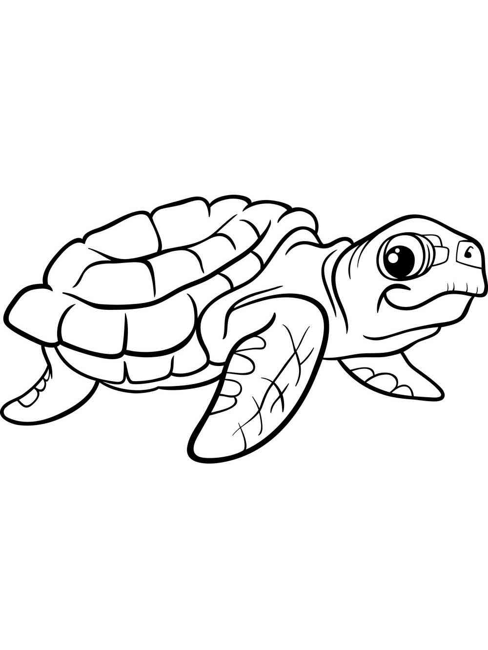 96+ Entertaining Turtle Coloring Pages Printable