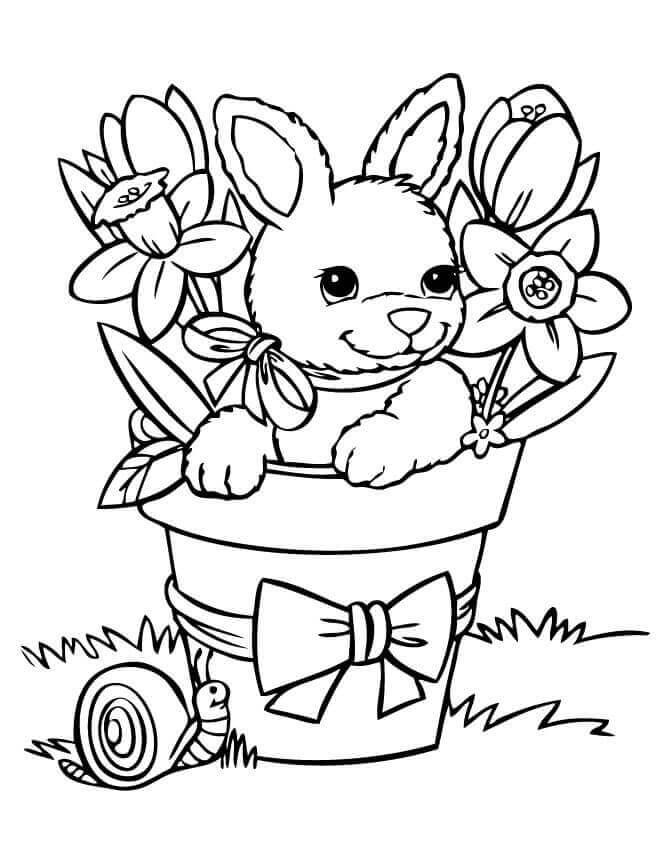 35+ Top Spring Coloring Pages Cute