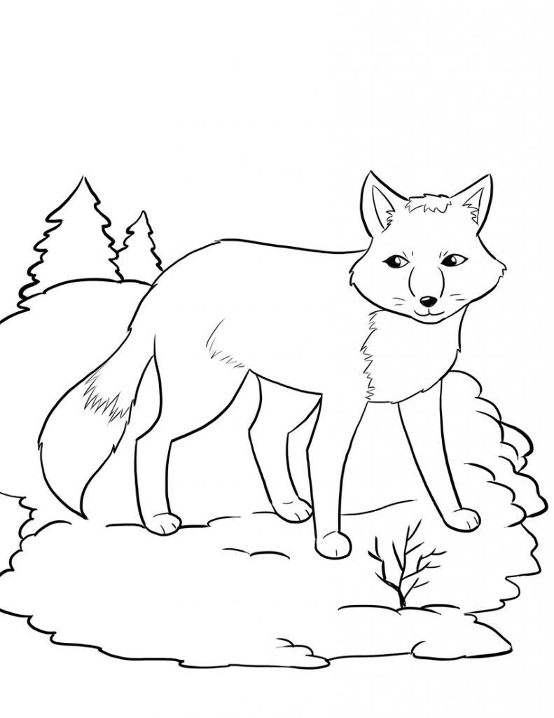 41+ Happy Fox Coloring Pages with Simple Outline