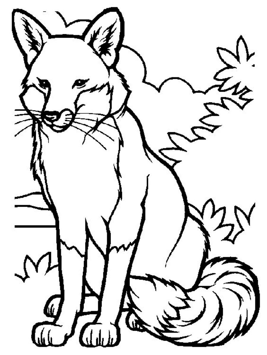 38+ New Fox Coloring Pages Easy