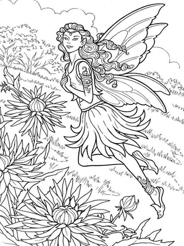 50+ Amazing Fairy Coloring Pages Cute