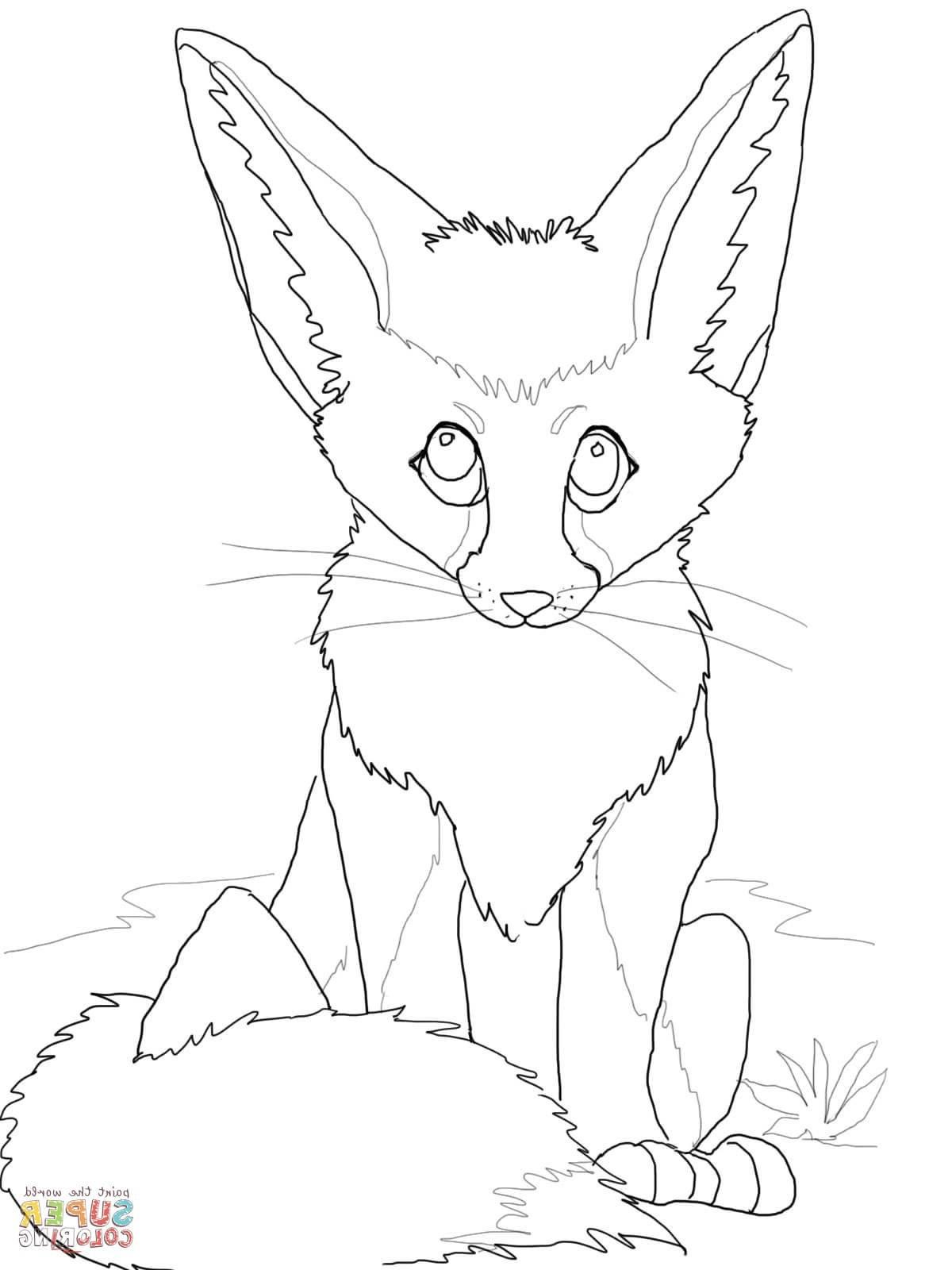 35+ Artistic Fox Coloring Pages Printable Sheets