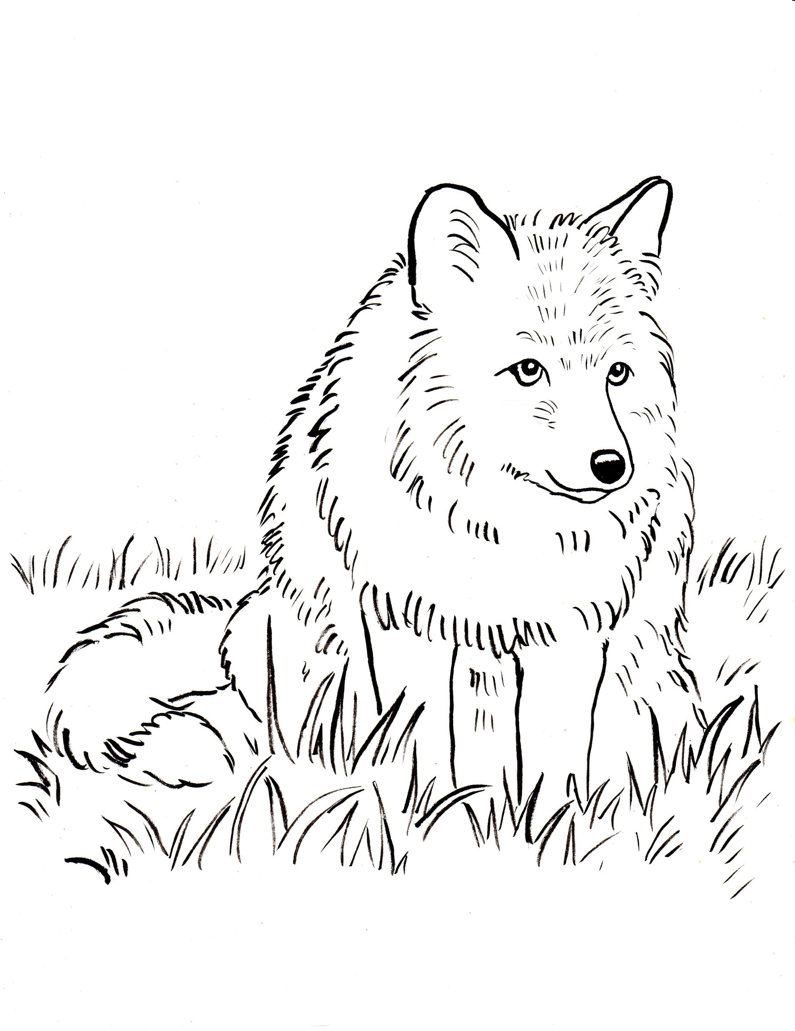 42+ Easy Fox Coloring Pages to Print