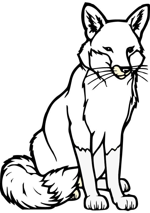 48+ Amazing Fox Coloring Pages Unique