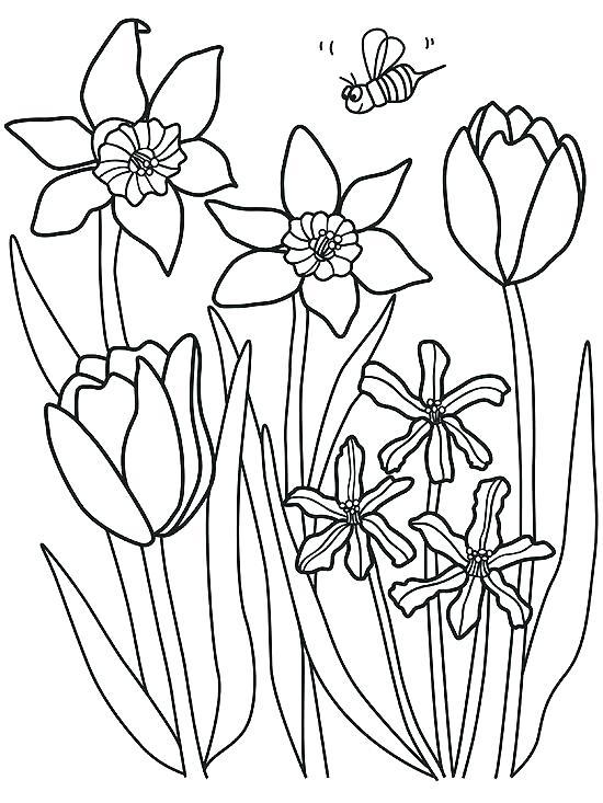 36+ Interactive Spring Coloring Pages Inspirational