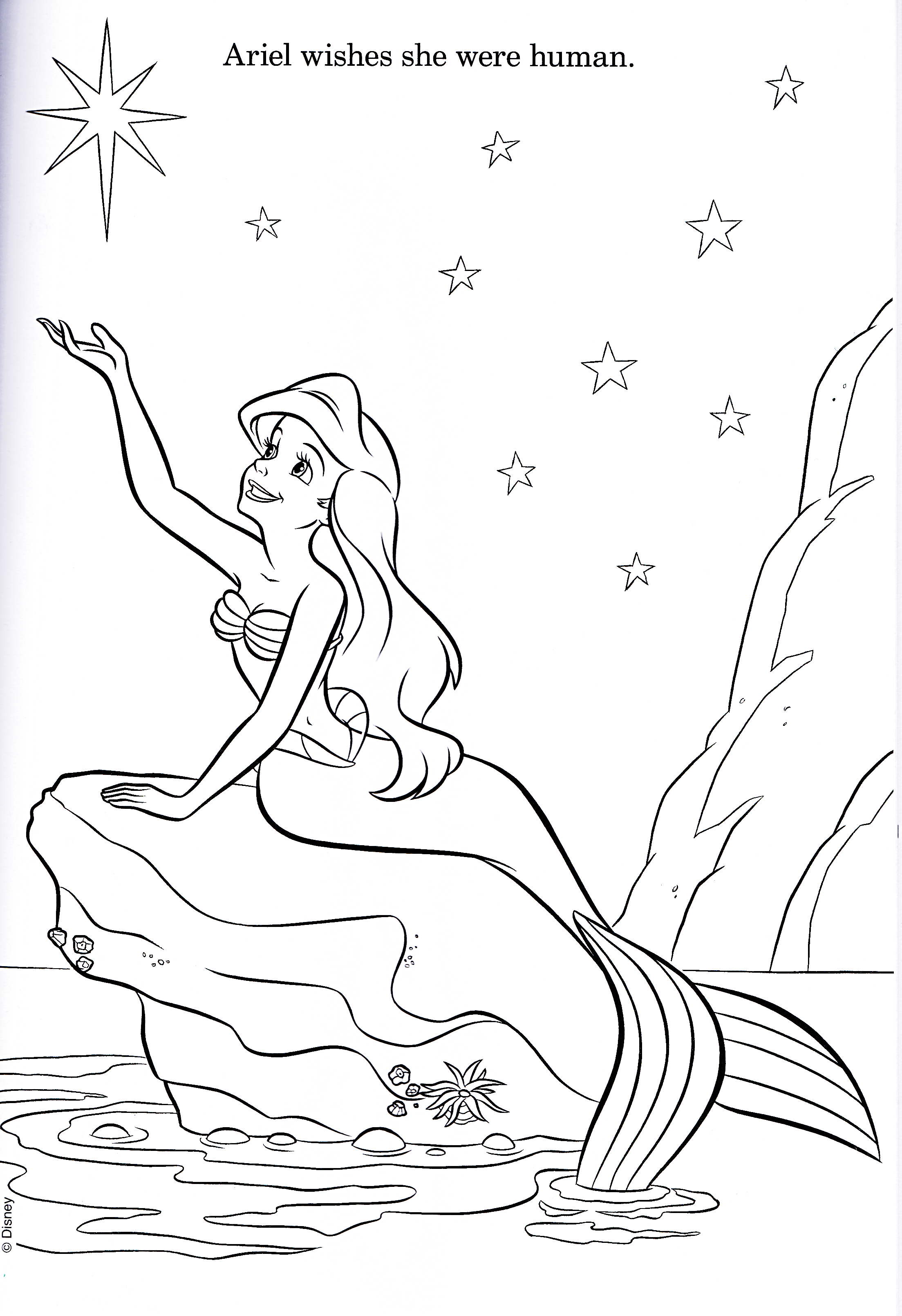 walt disney coloring pages princess ariel walt disney characters png jpg