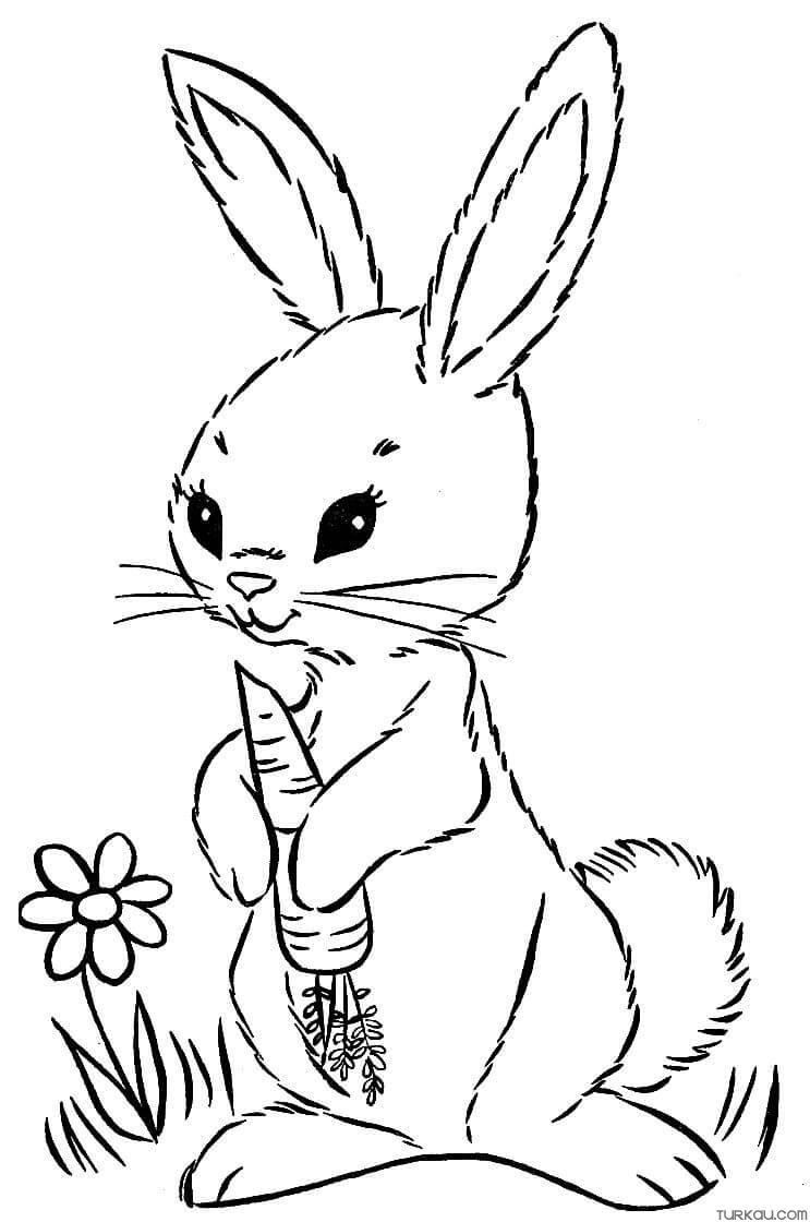 49+ Unique Bunny Coloring Pages for Kids