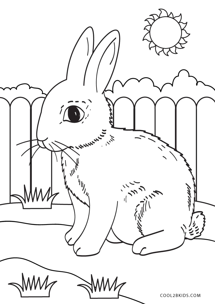 45+ Free Bunny Coloring Pages PDF Printable