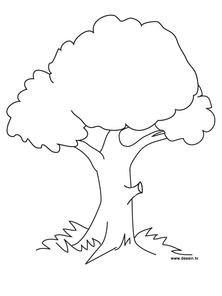 41+ Top Tree Coloring Pages Colored