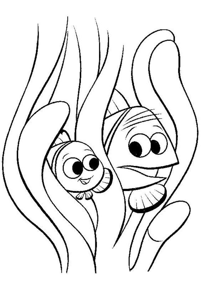 48+ Best of Nemo Coloring Pages Sketch