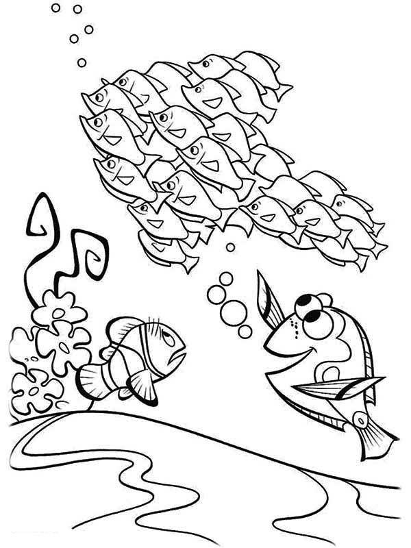 49+ Download Nemo Coloring Pages Sketch