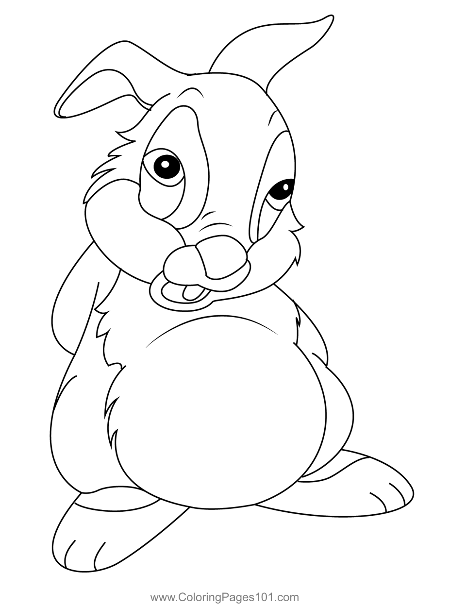 47+ Unique Bunny Coloring Pages Sheets Printables