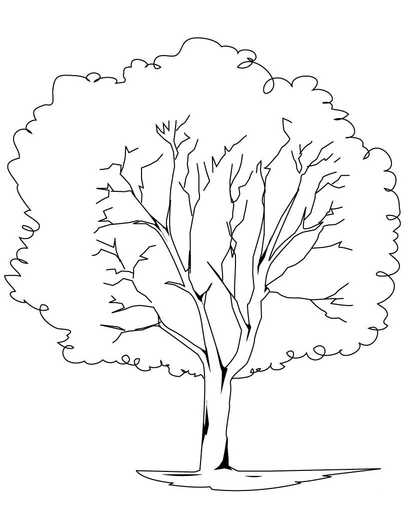 31+ Top Tree Coloring Pages Book Pages