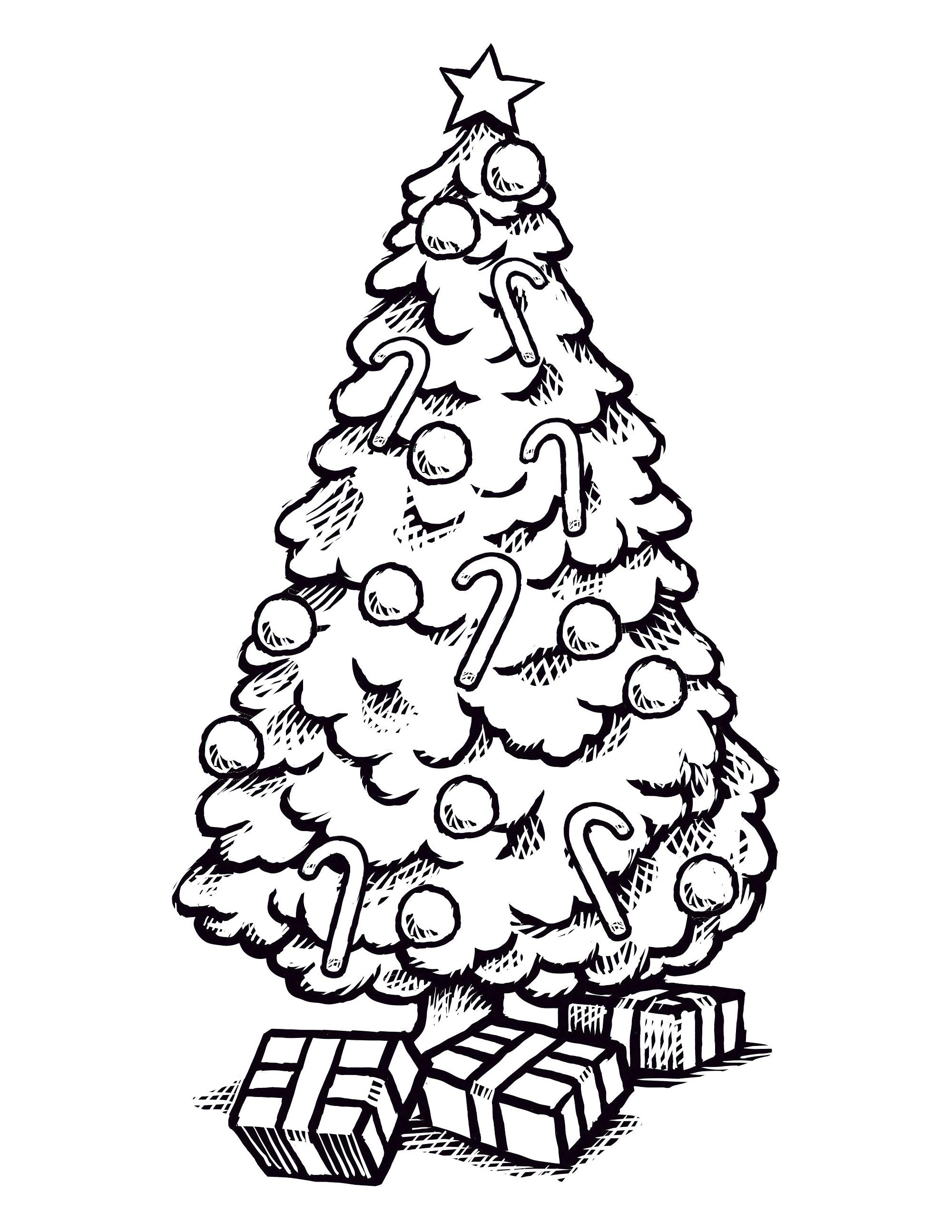 42+ Top Tree Coloring Pages Book Pages