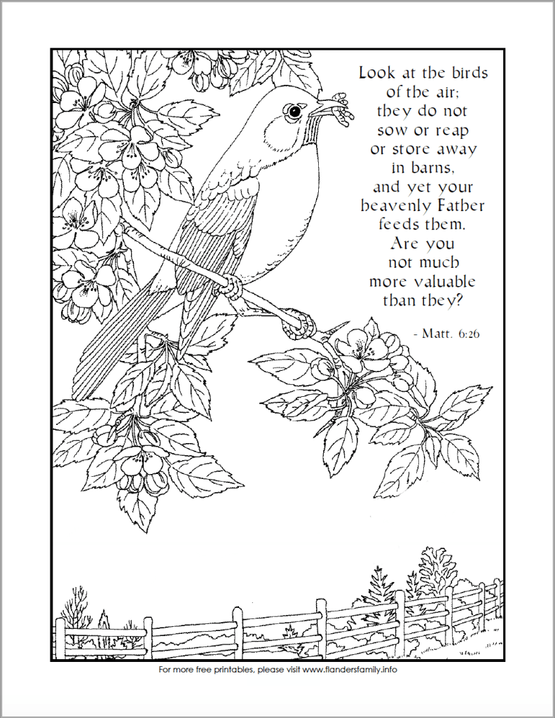 30 Sparrow Coloring Pages Printable 16